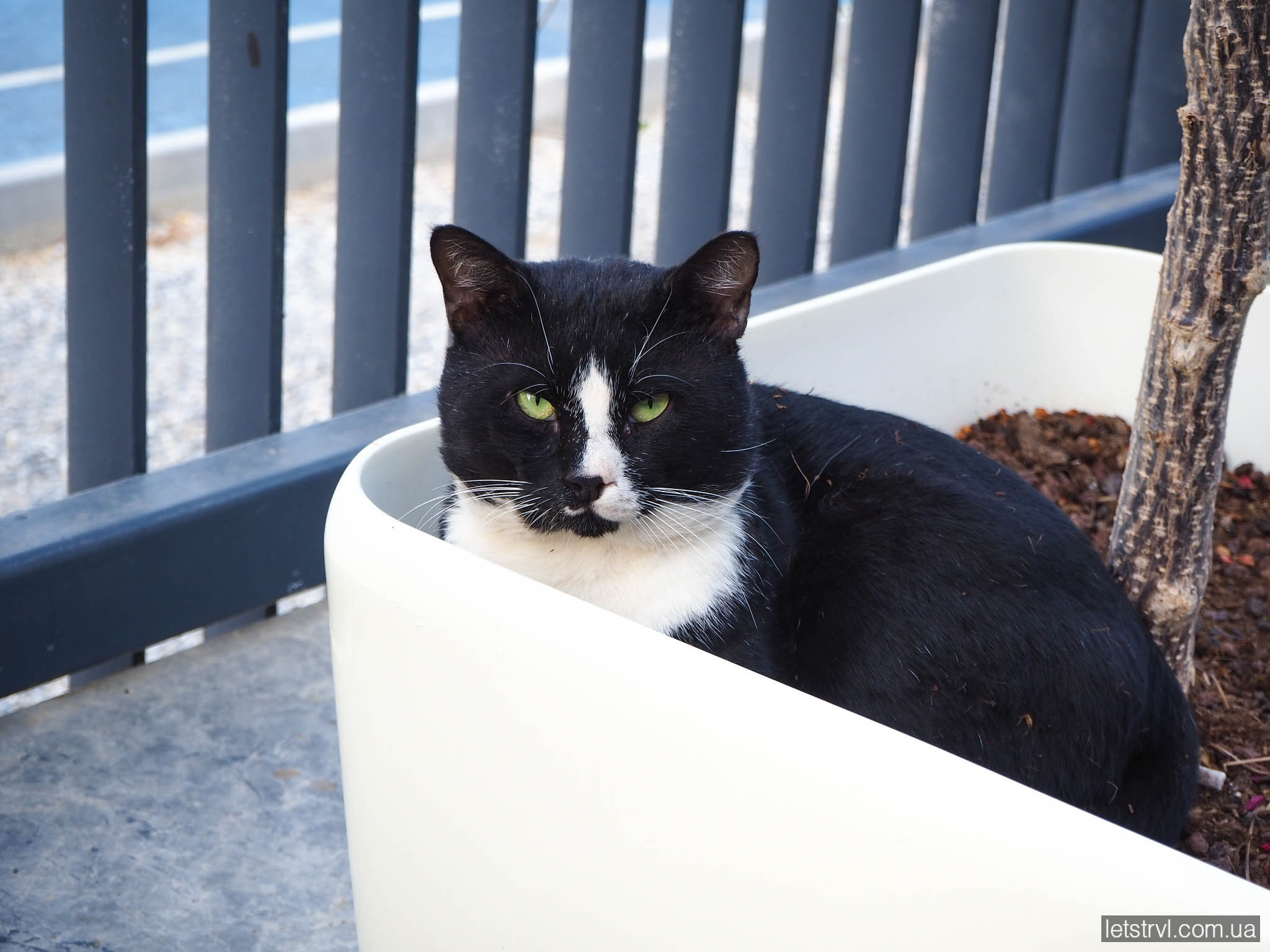 Bosphorus Sorgun готель