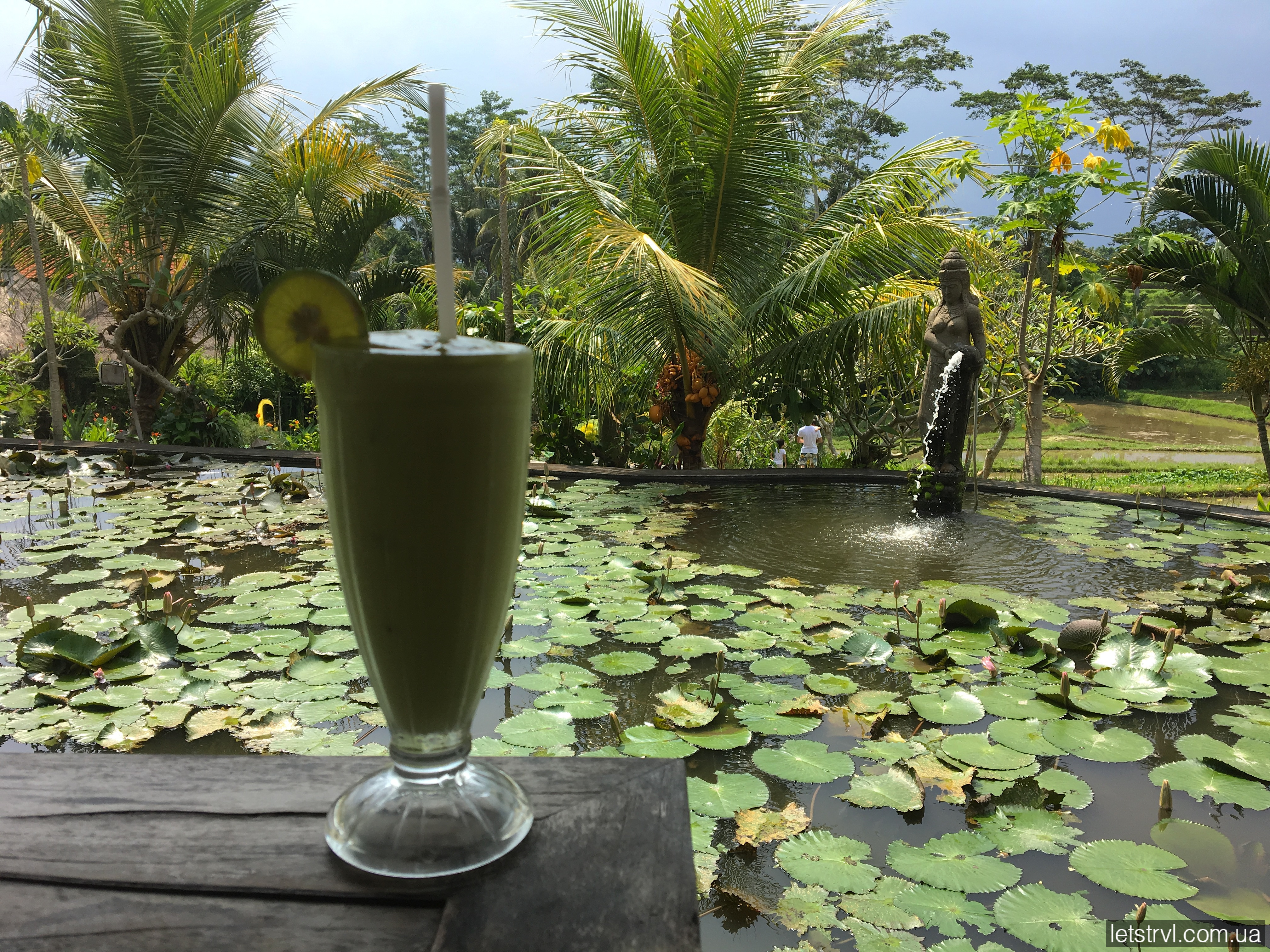 Авокадове смузі на Балі