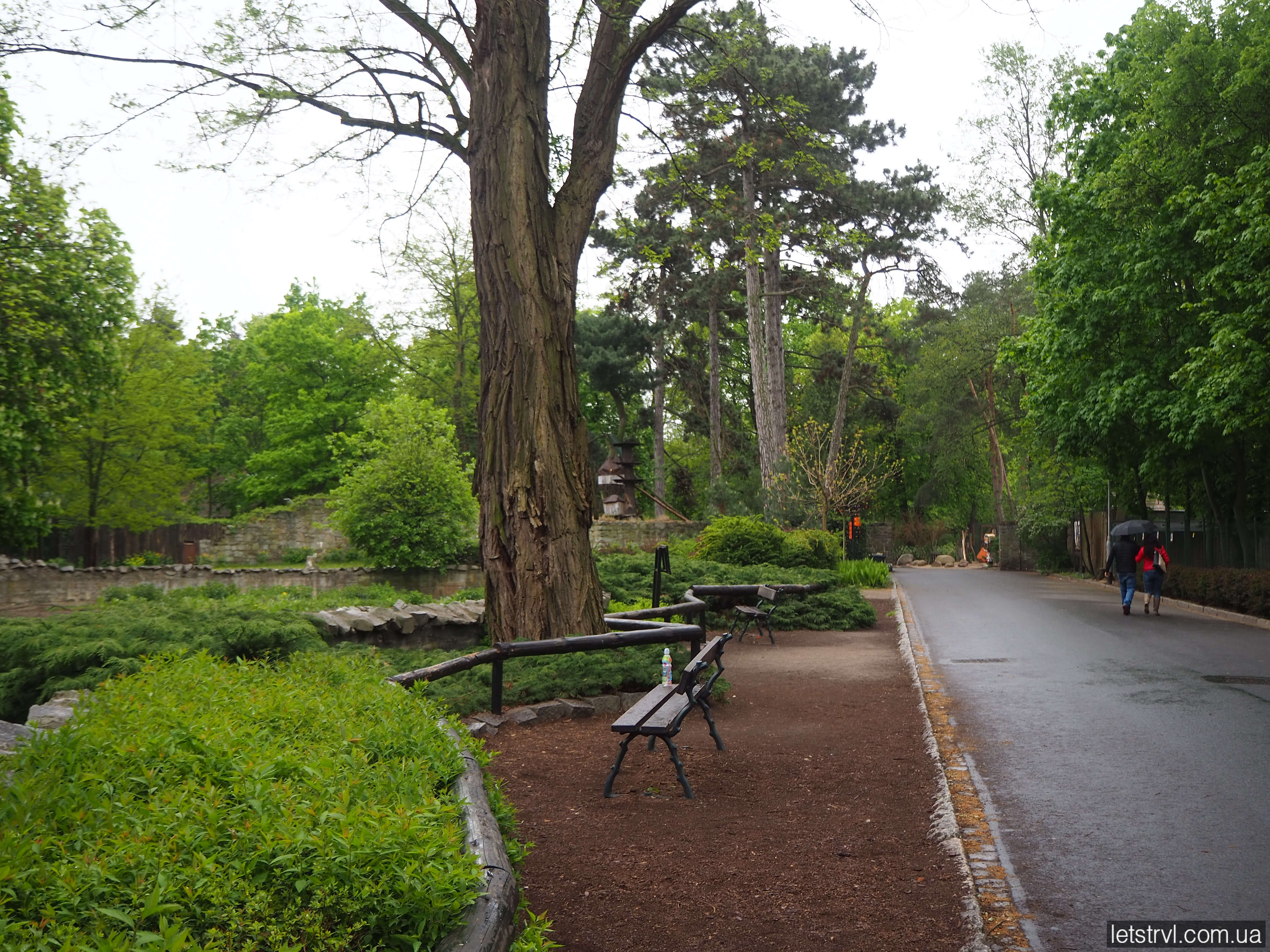 Зоопарк Вроцлав