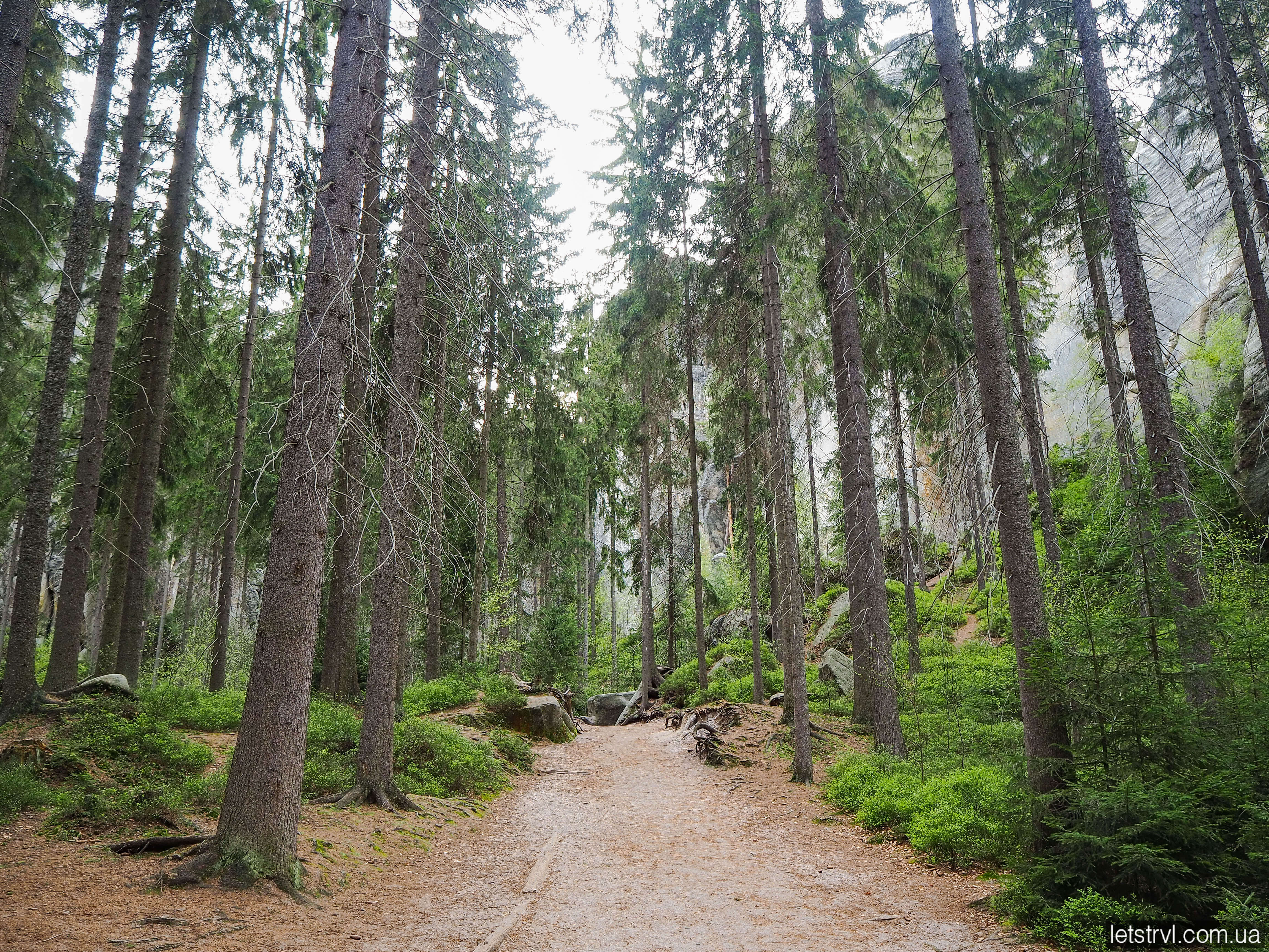 Ліс Адршпах