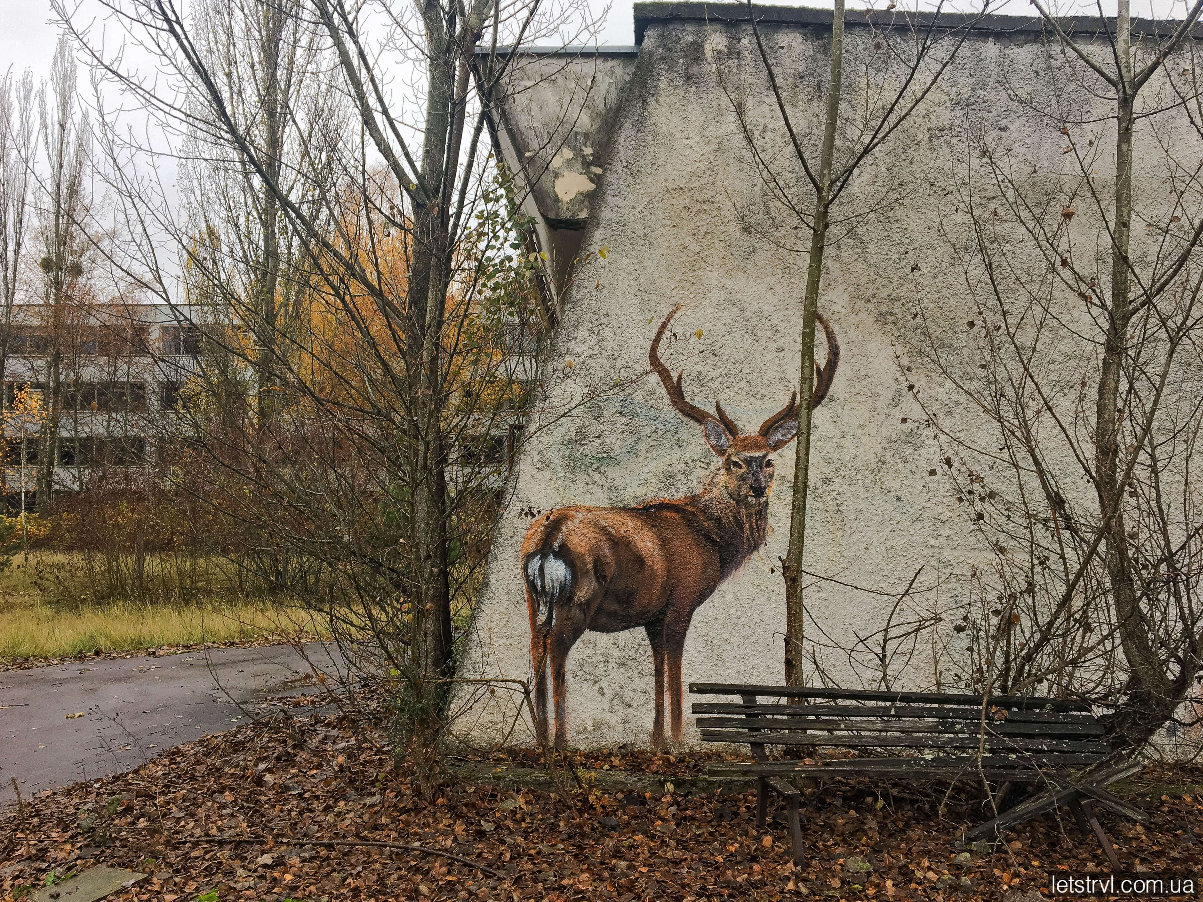 Малюнки на стінах в Припʼяті