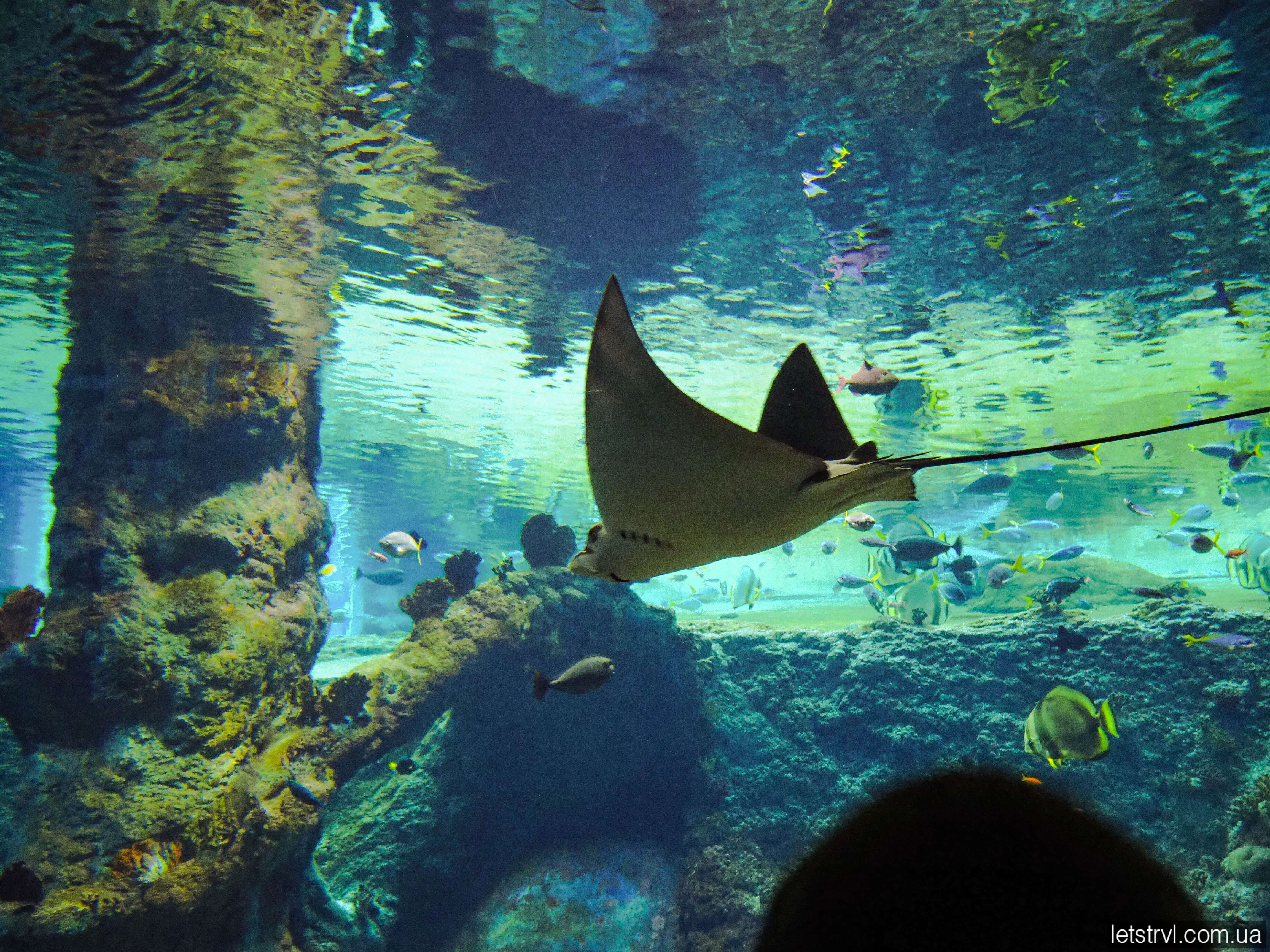 Океанаріум Вроцлав