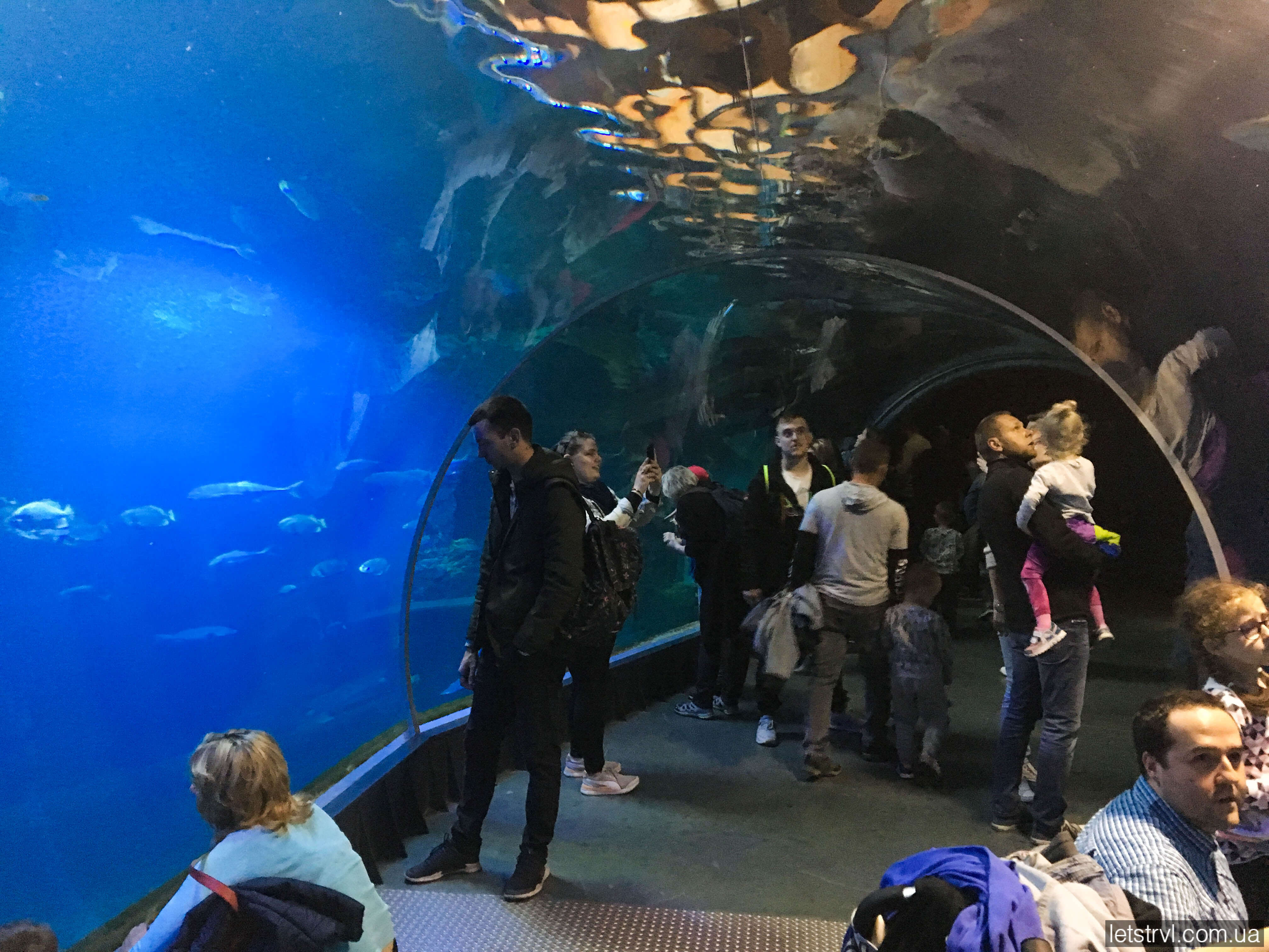 Океанаріум Вроцлав