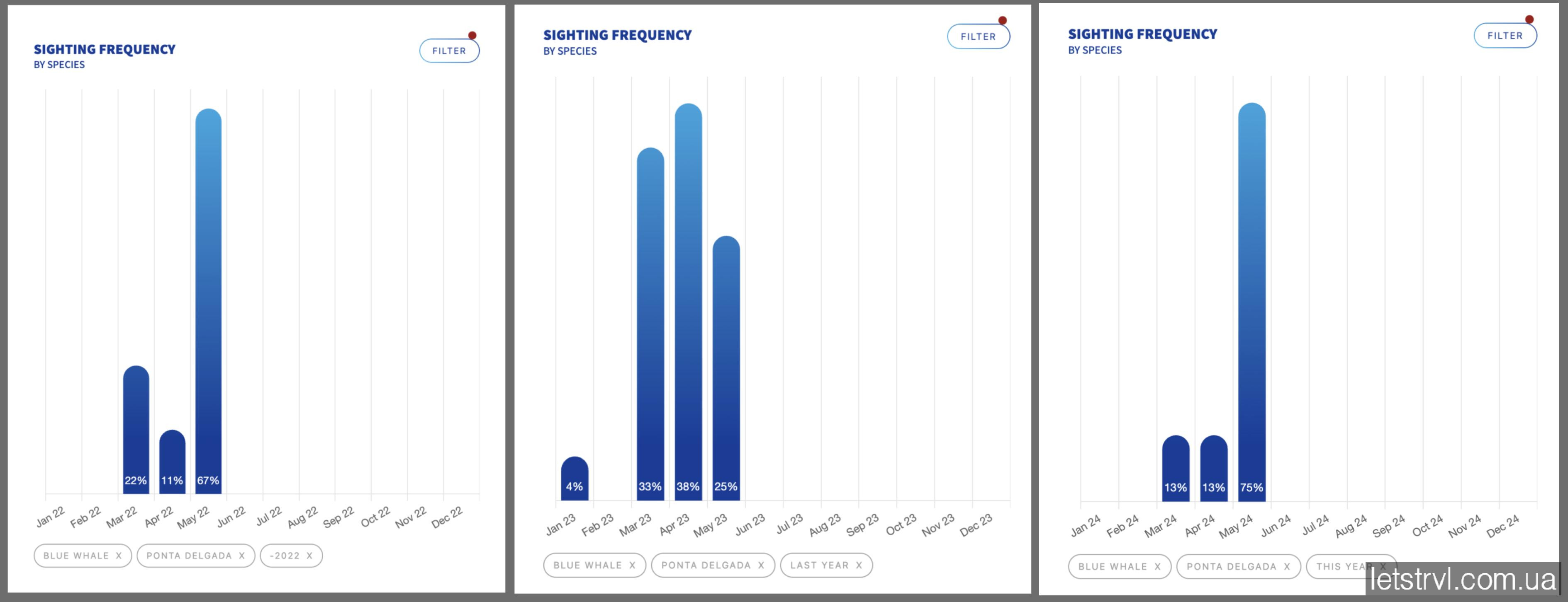 Сині кити на Азорах