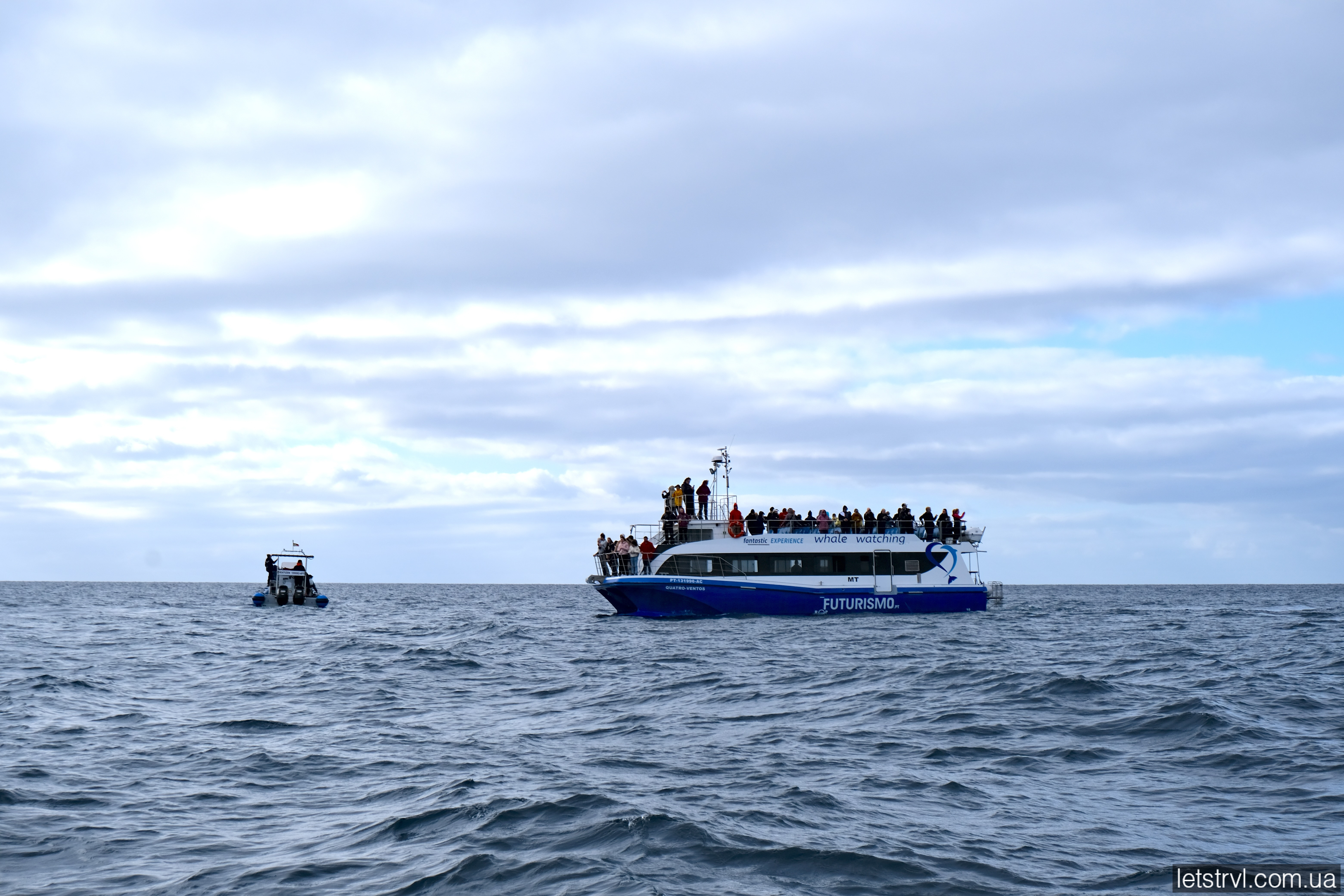 Спостереження за китами на Азорах