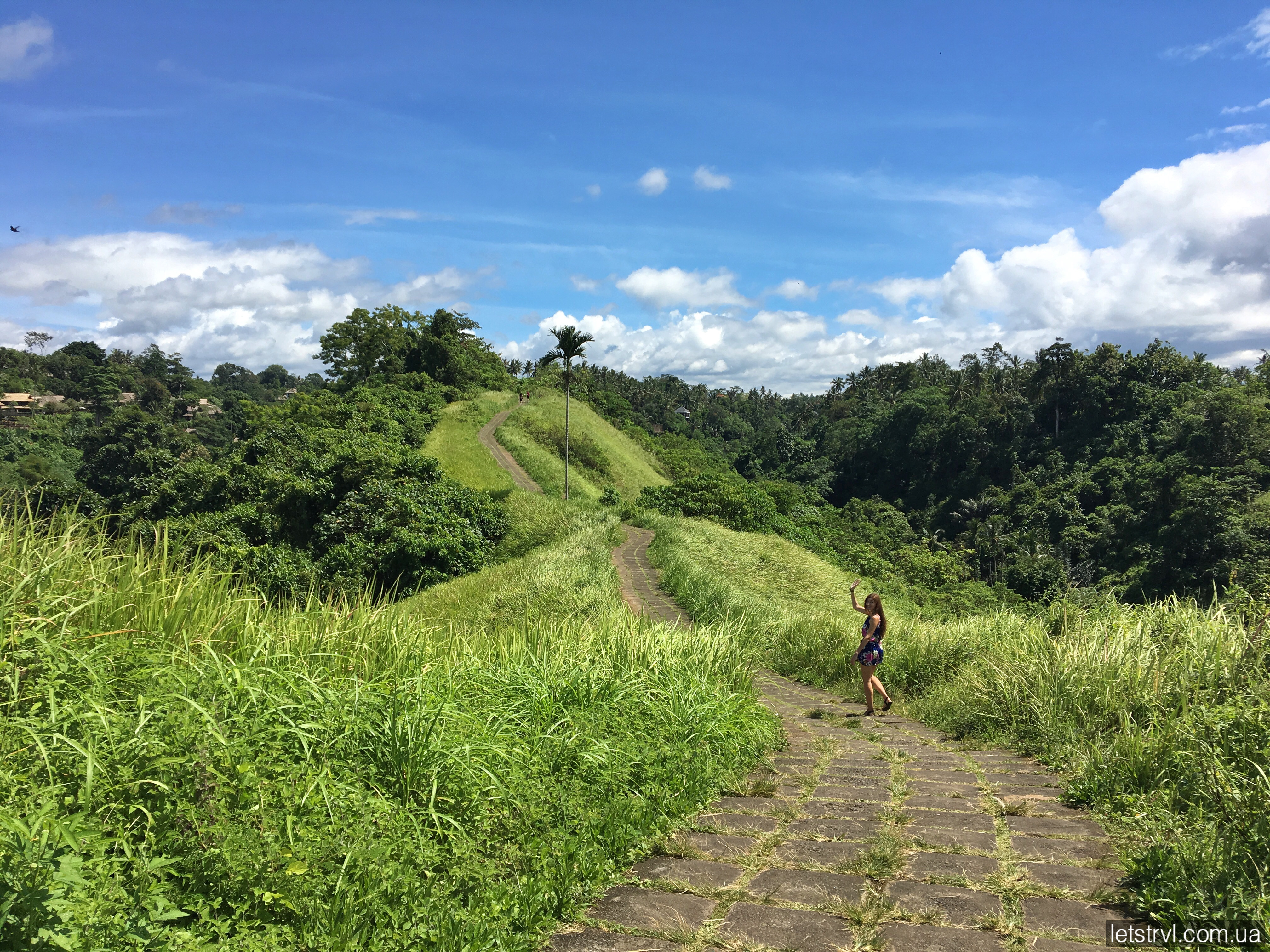 Стежка художника Балі