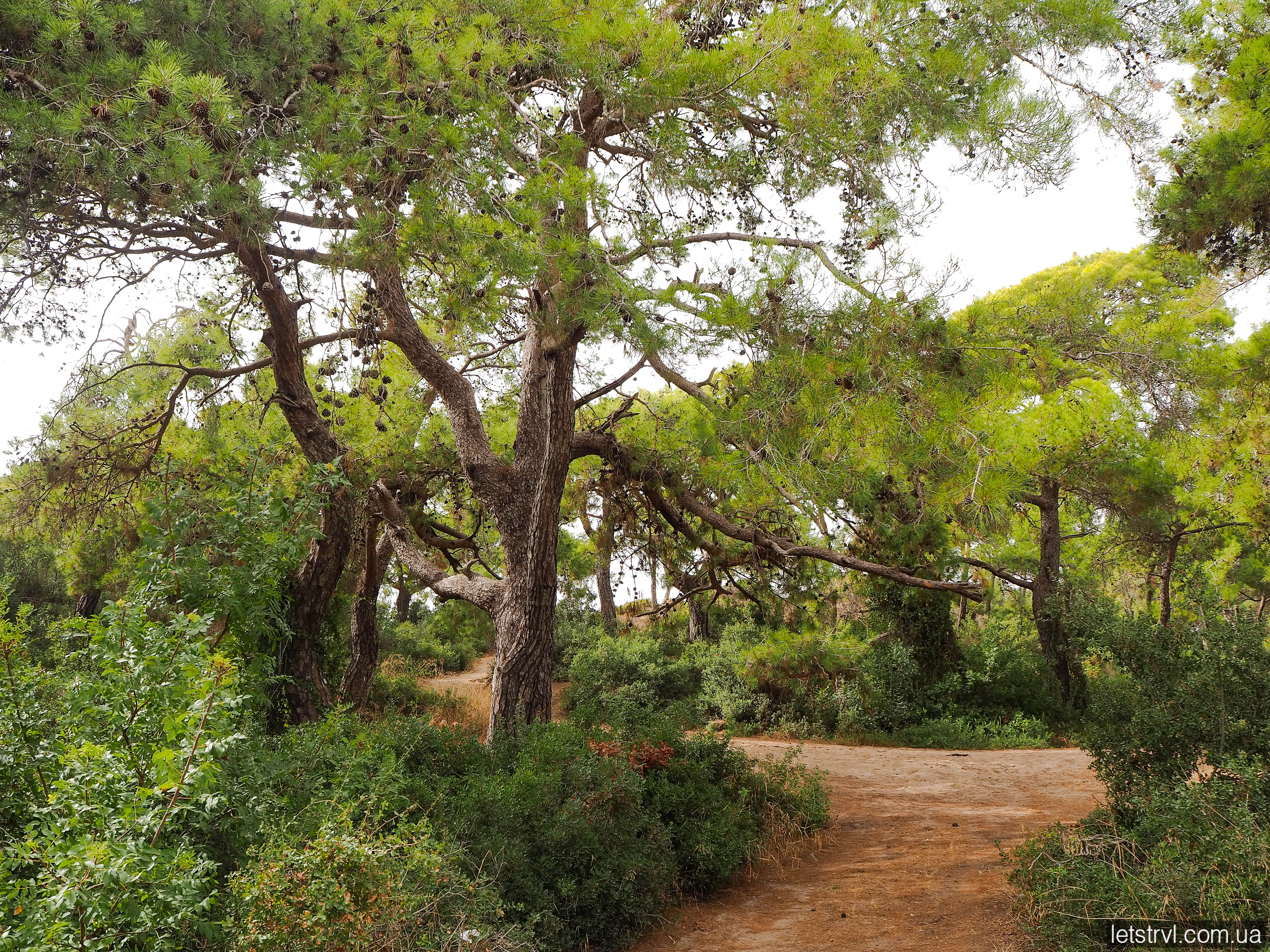 Територія біля готелю Bosphorus Sorgun