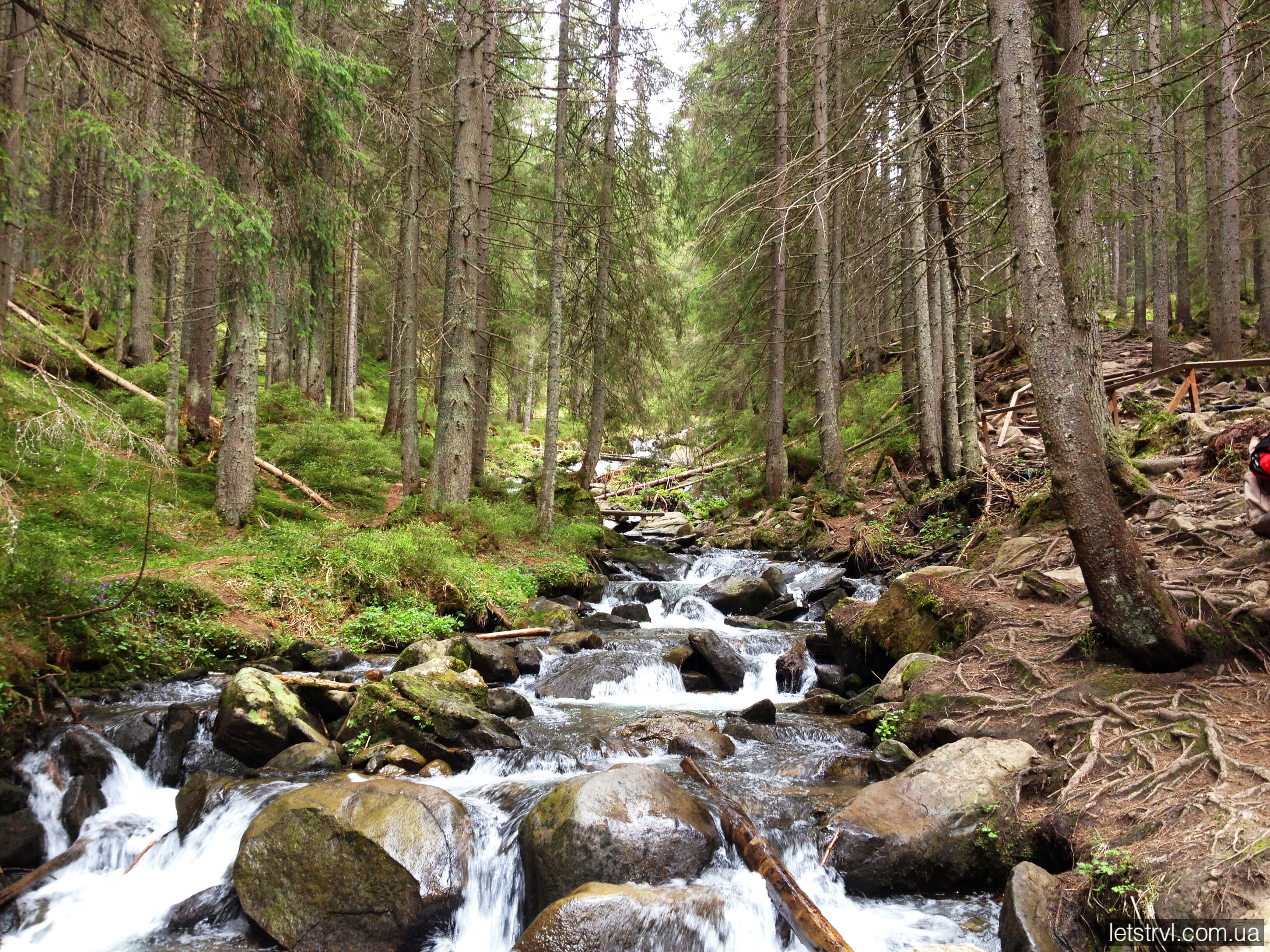 Тропа на Говерлу